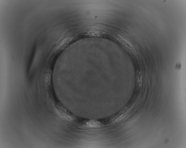 X0000095110603200712301738