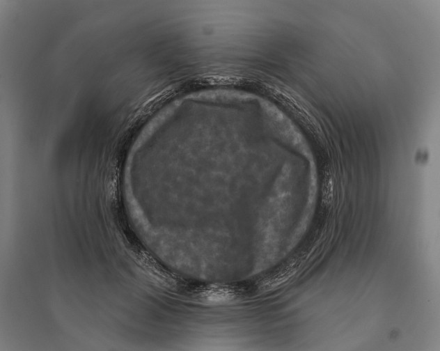 X0000095110604200712301738