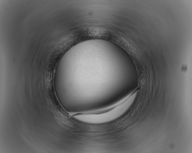 X0000095110605200712301738