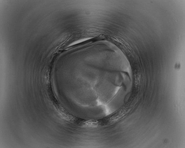 X0000095110606200712301738