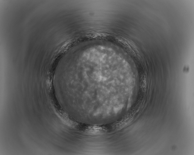 X0000095110607200712301738