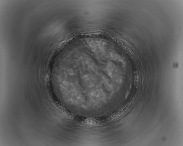 X0000095110608200712301738