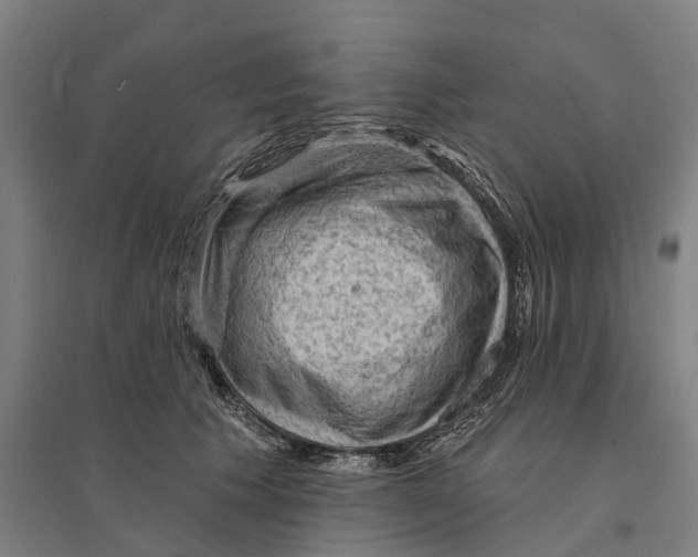 X0000095110609200712301738