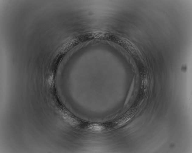 X0000095110610200712301738