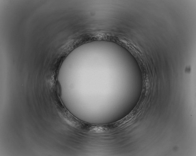 X0000095110611200712301738