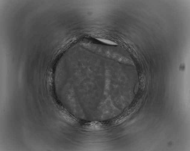 X0000095110612200712301738