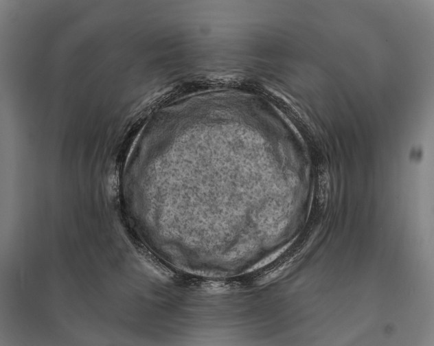 X0000095110613200712301738