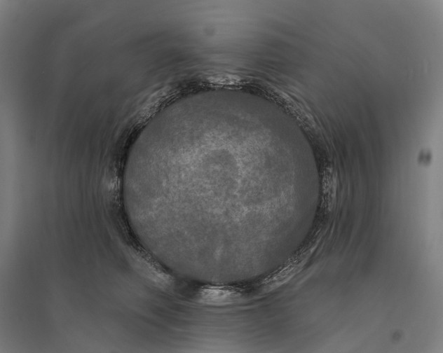 X0000095110614200712301738