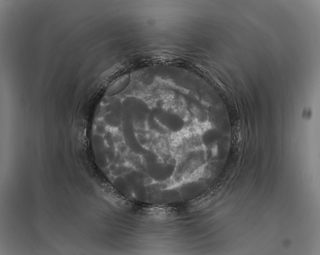 X0000095110615200712301738