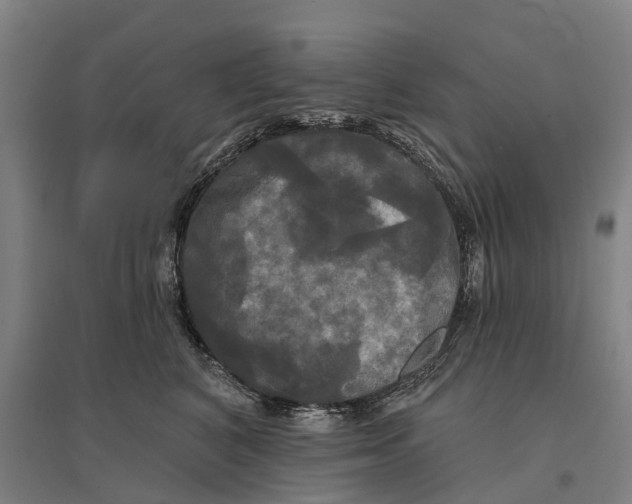 X0000095110616200712301738