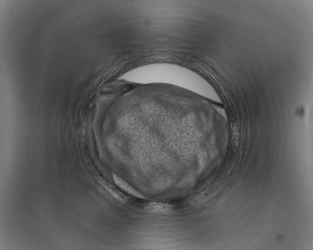 X0000095110617200712301738