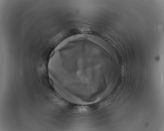 X0000095110618200712301738