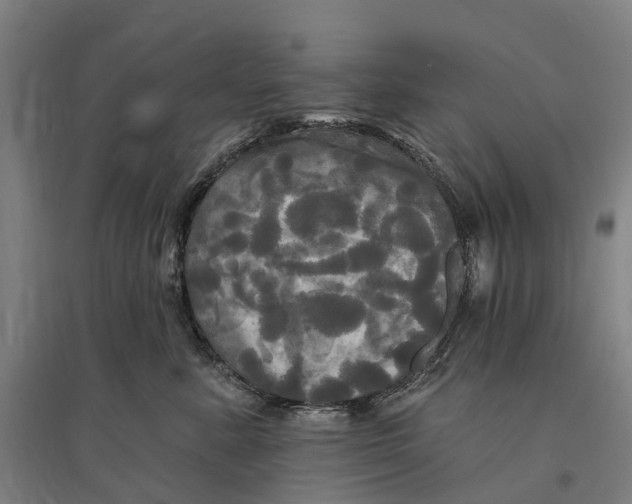 X0000095110619200712301738