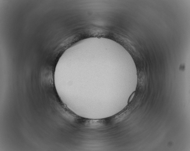 X0000095110622200712301738