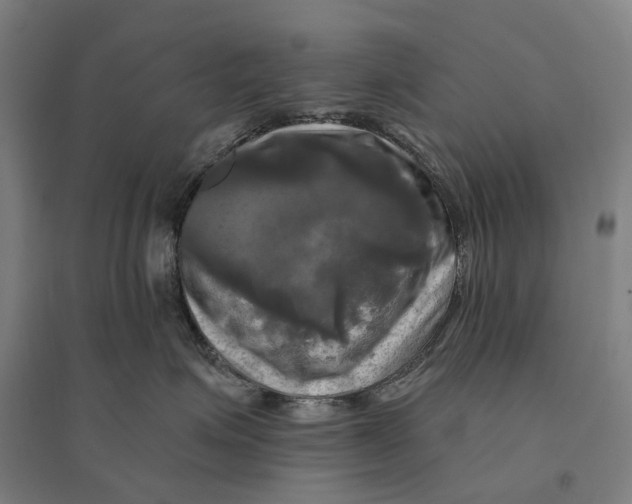 X0000095110623200712301738