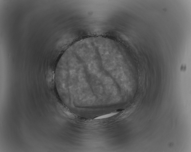 X0000095110624200712301738