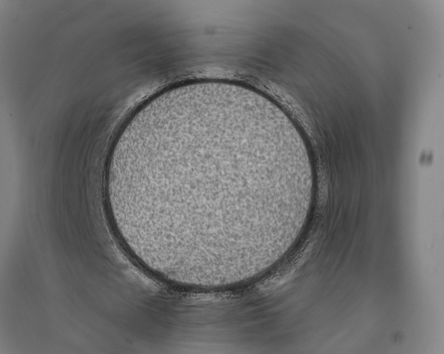 X0000095110625200712301737