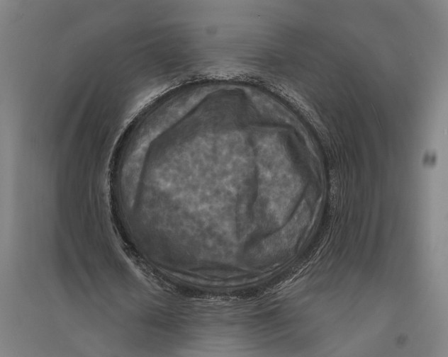 X0000095110626200712301737