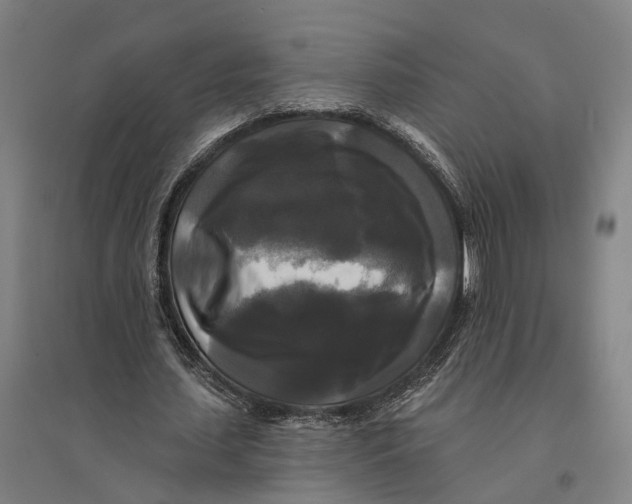 X0000095110627200712301737