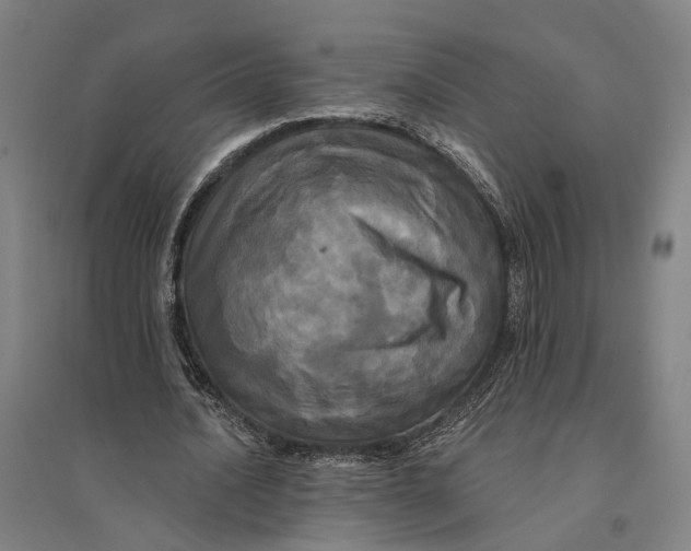 X0000095110628200712301737