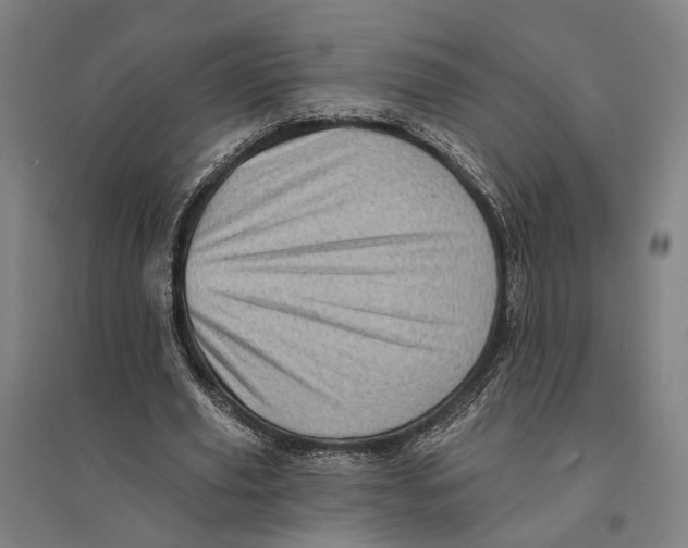 X0000095110629200712301737