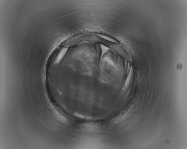 X0000095110630200712301737