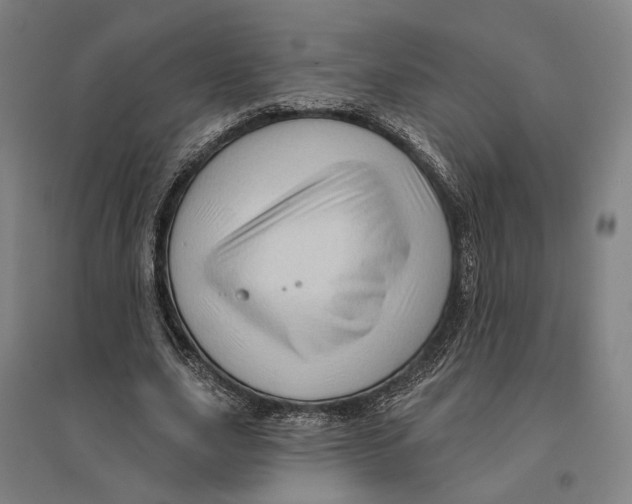 X0000095110631200712301737