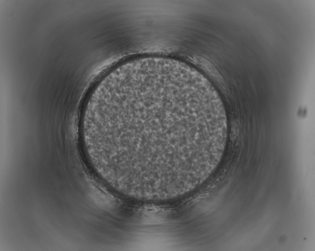 X0000095110632200712301737