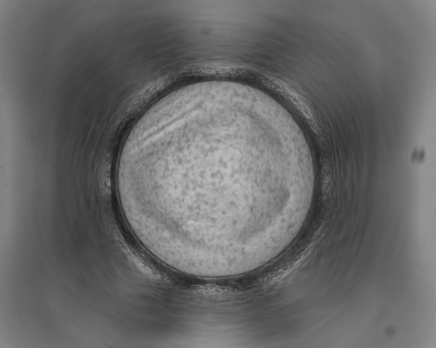 X0000095110633200712301737