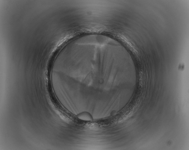 X0000095110634200712301737