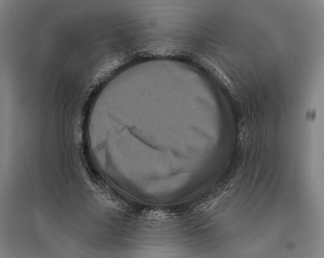 X0000095110635200712301737