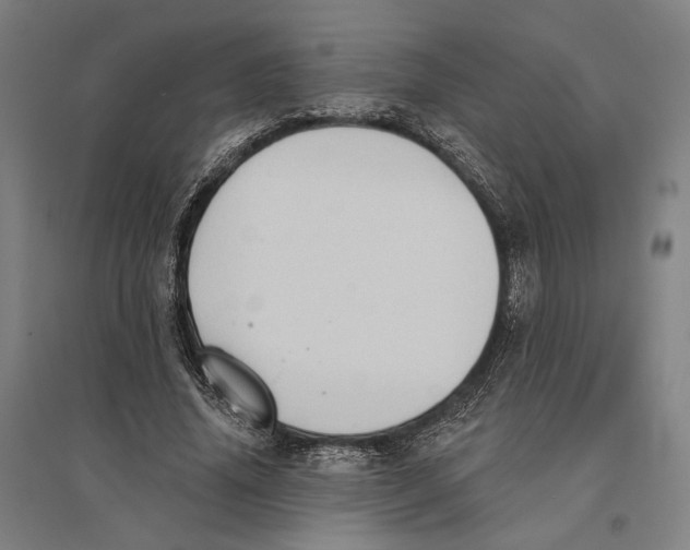 X0000095110636200712301737