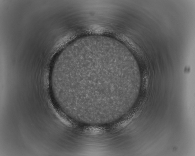 X0000095110638200712301737