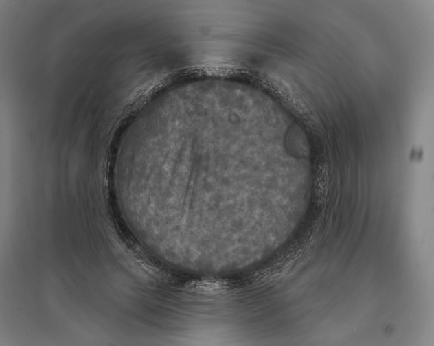 X0000095110639200712301737