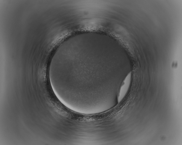 X0000095110640200712301737