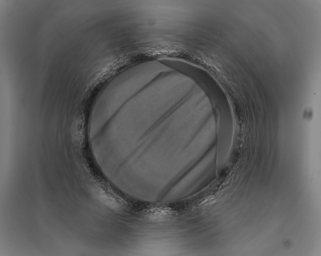 X0000095110642200712301737