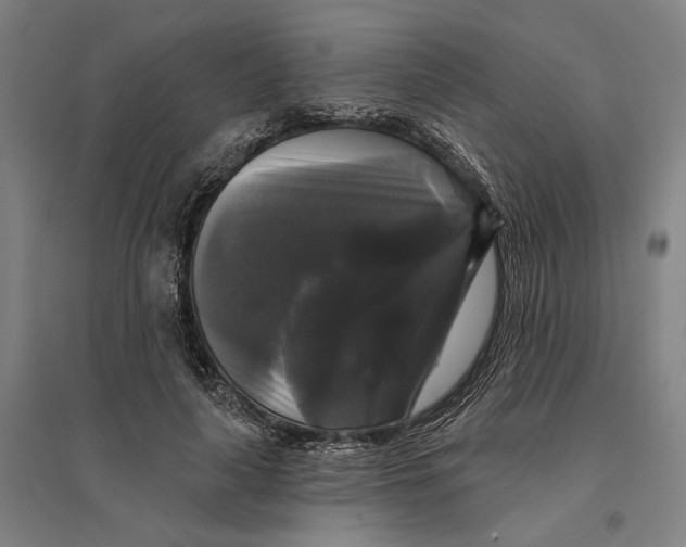 X0000095110643200712301737