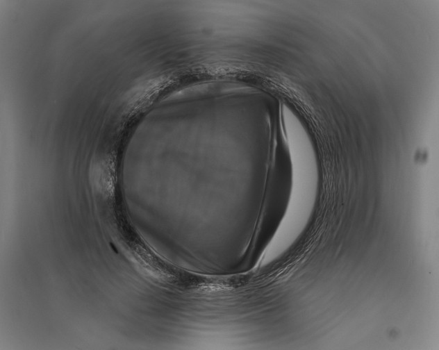 X0000095110644200712301737