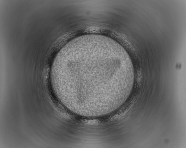 X0000095110645200712301737