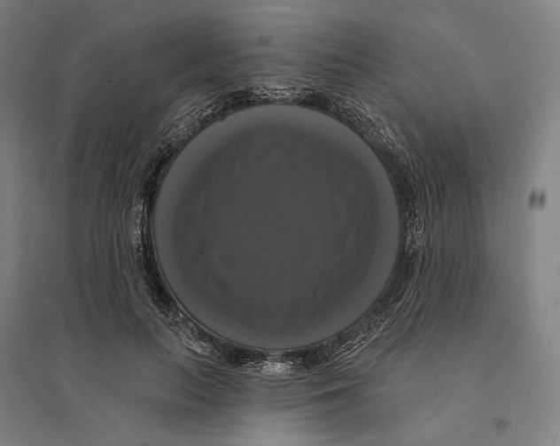 X0000095110647200712301737