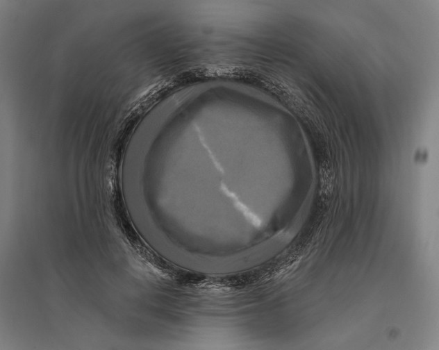 X0000095110648200712301737