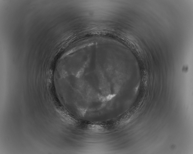 X0000095110649200712301737