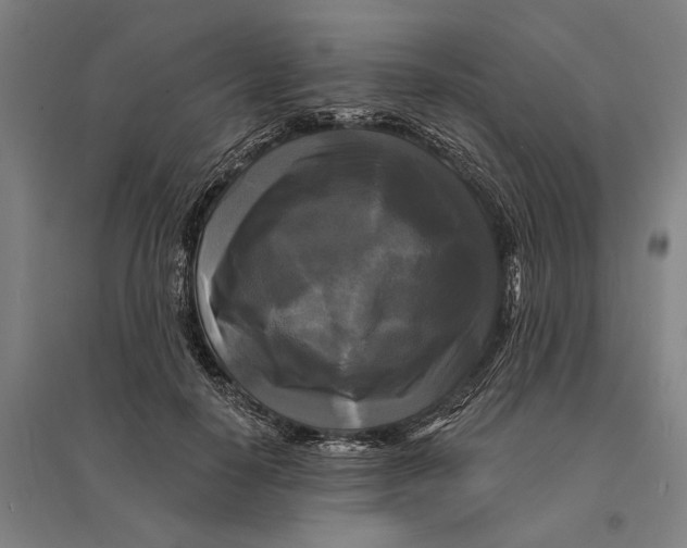 X0000095110650200712301737