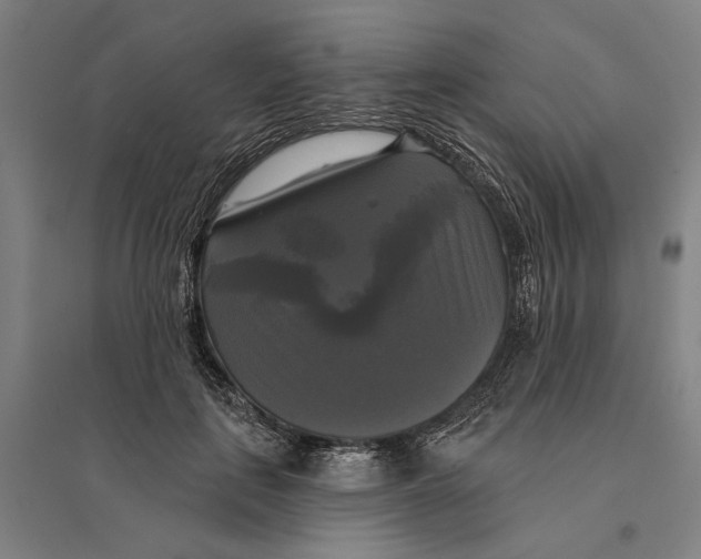 X0000095110651200712301737