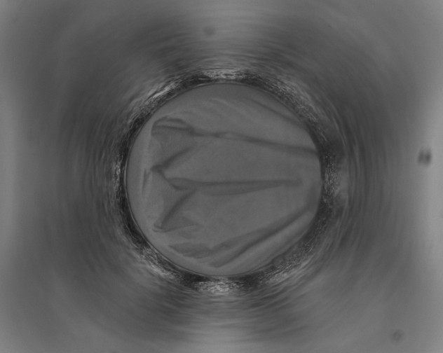 X0000095110652200712301737