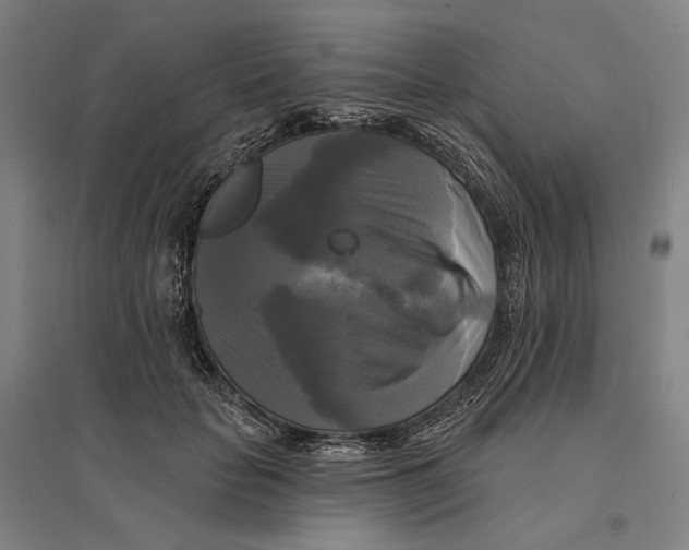 X0000095110653200712301737