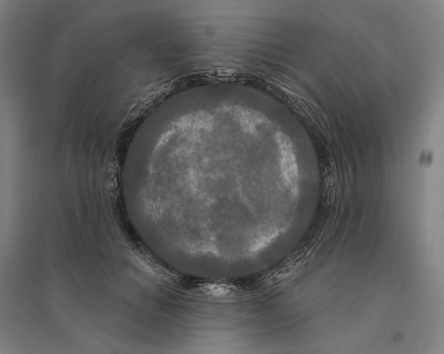 X0000095110654200712301737