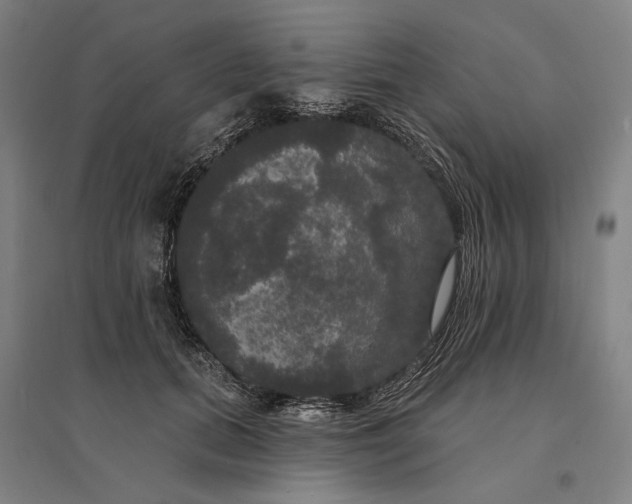 X0000095110655200712301738