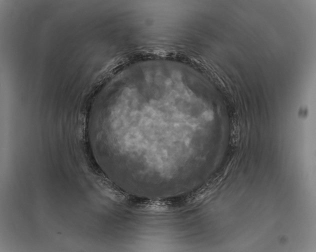 X0000095110656200712301738