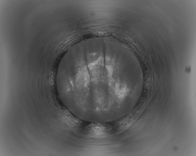 X0000095110658200712301738